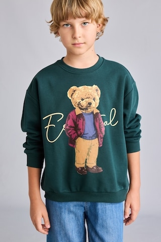 Defacto Oversize Bisiklet Yaka Ayıcık Figürlü Baskılı Uzun Kollu Sweatshirt Erkek Çocuk I3299a826wngn536 Yeşil-gn536