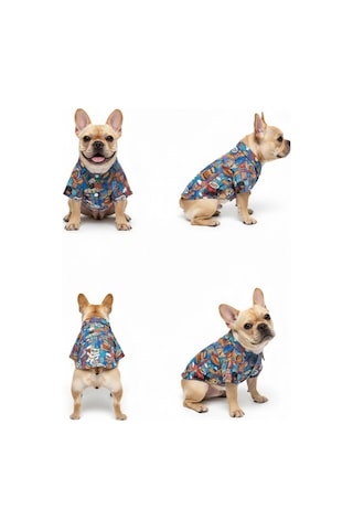 Süper Kahraman Pets Temalı Pop-art Yazlık Pet Gömleği