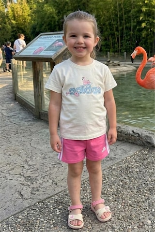 Noble Kids Kız Çocuk Yazlık Logo Baskılı Tişört Ve Şort Takım Ekru