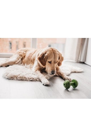 Beeztees Sumo Halter Şekilde Dental Oyuncak 13x7 Cm