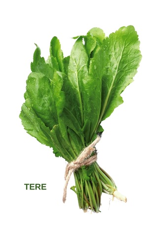 Yeşillik Tohumları Maydanoz, Tere, Roka, Dereotu 20 Gr.' Lık Paketlerde 20 Gr.