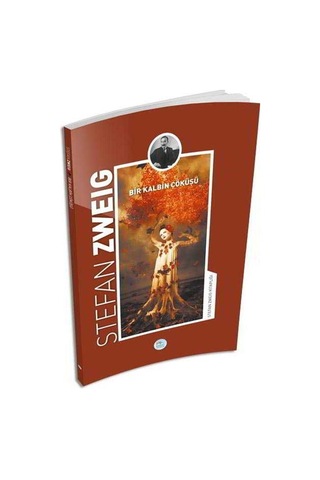 Bir Kalbin Çöküşü - Stefan Zweig - Maviçatı Yayınları