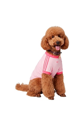 Adidas Pet Collar Tasma Ky8799 Kırmızı