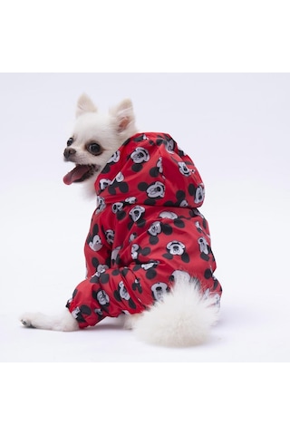 Pettrend Mickey Mouse Tulum Yağmurluk Köpek Kıyafeti Köpek Yağmurluğu