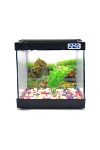 Ada Akvaryum Mini Akvaryum Seti Siyah 20 x 20 x 15 CM