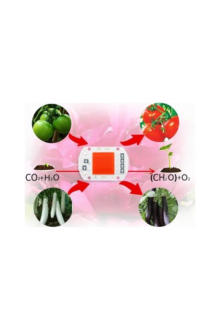 Cob Çip Led Büyümek Işık Phyto Lamba Ac 220v/110v 20w 30w 50w Tam Spektrum Büyüme İçin Sürücüye Gerek Yok Çiçek Fidesi Bitki Yetiştirme Diğer