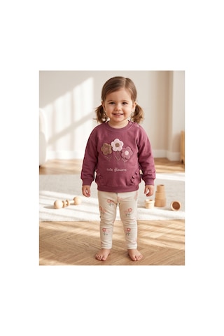 Deniva Kids Kız Bebek Gül Kurusu 3 Boyutlu Çiçek Nakışlı Fırfırlı Sweatshirt Ve Kaşkorse Tayt 2'li Takım Pembe