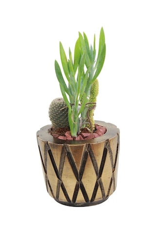 Saksı Çiçek Kaktüs Saksısı Lüx 11 Cm Altın Eskitme Varak Boyalı Baklava Desen Saksı Çiçeklik - Altın Eskitme