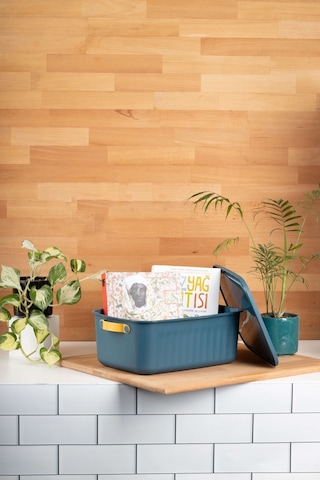 Finehome Boxy Çok Amaçlı Kutu Mavi 10 L