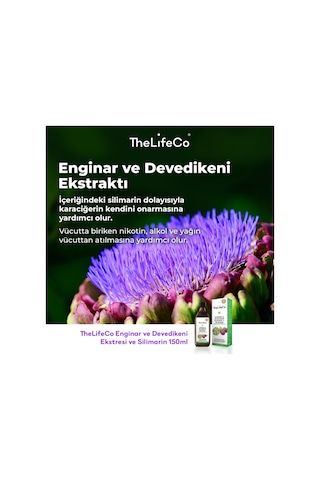 The Lifeco Enginar & Devedikeni Sıvı Ekstraktı 150 ML