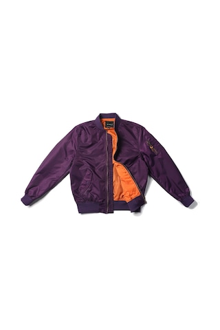 Edwardest Hava Kuvvetleri Ma1 İlkbahar Ve Sonbahar İnce Pilot Ceket Naylon Beyzbol Ceketi Mor
