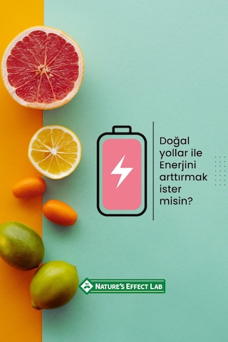 Vitamax Polen Arı Sütü C Vitamini B6 Ve Biotin Katkılı Ballı Macun 255 Gr