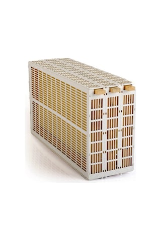 Ana Arı Hapsetme 3 Çerçeveli