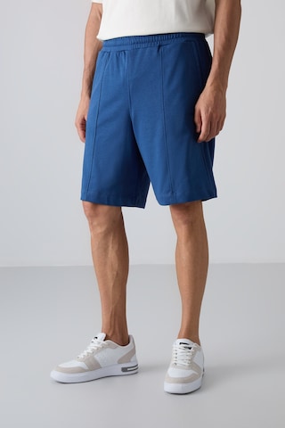 Tommy Life Parlament Pamuklu Kalın Yumuşak Dokulu Comfort Fit Basic Erkek Şort - 81261 Mavi