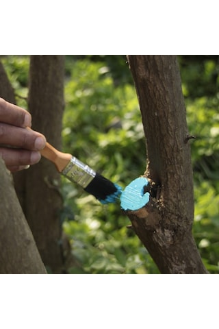 Gmt Pro-Lux 2 Adet Sıvı Aşı Macunu 250 Gr