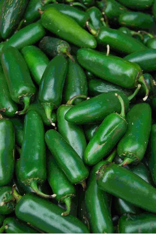 AGRodal Tarım Doğal Meksika Biberi Jalapeno Acı Biber 100 Adet Tohum