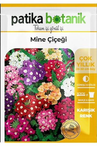 Patika Botanik 50 Adet Mine Verbena Çiçek Tohumu