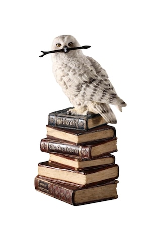 Kitap Yığını Üzerindeki Sihirli Değnekli Hedwig Kar Baykuşu Biblosu / Küçük Boy