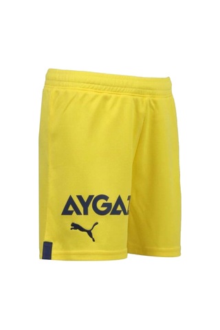 Fenerium Fenerbahçe Antrenman Çocuk T-shirt + Şort Set Kutulu 001