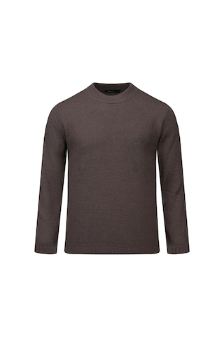 Hatemoğlu Vizon Regular Fit Yarım Balıkçı Yaka Pamuklu Kazak 2977605 Vizon