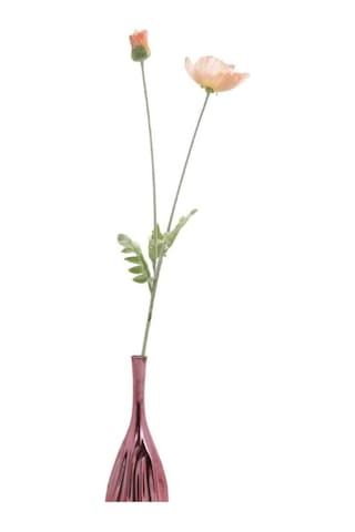 T.concept Büyük Pembe Gelincik Hanghuı-009