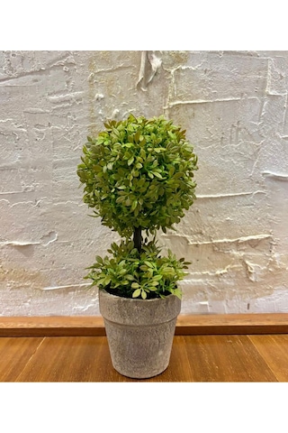 Minimalist Çift Katlı Yeşim Topiary Aranjmanı 24 Cm X 10 Cm Yeşil