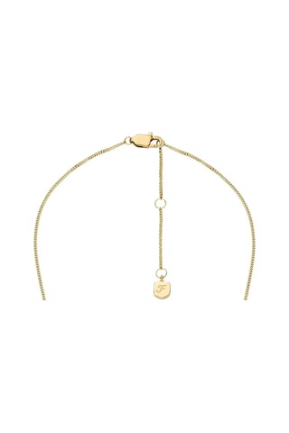 Fossıl Jf04920-710 Gold