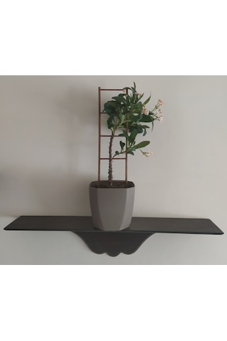 Akat Cosy Saksı Içi Dekoratif Ahşap Bitki Merdiveni 13 X 60 CM