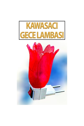 Nostaljik Gece Lambası Kendinden Fişli Çıt Çıt Anahtarlı 7 Watt Ampullü Çiçek Model Kırmızı
