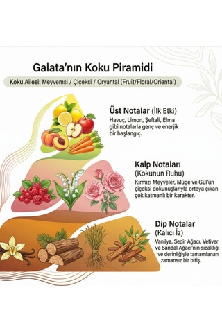 Oxi Natural Premium 80 Kolonya 220ml Cam Şişe Kutulu - Galata