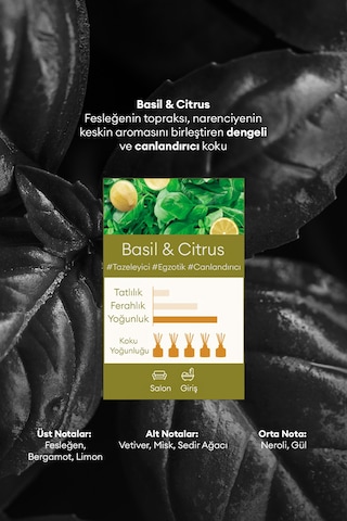 Kundal Basil & Citrus Gold Edition Perfume Diffuser 2 x 200 ML
