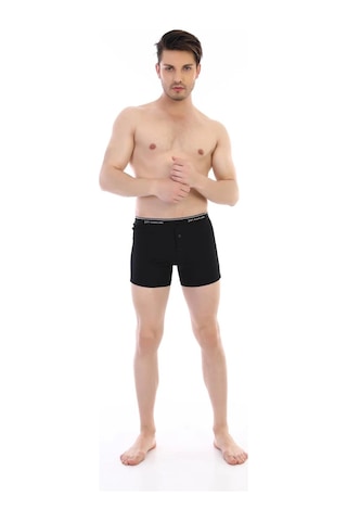 Çift Kaplan 880 Elastanlı Erkek Boxer 001