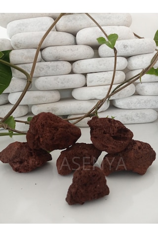 Lav Taşı 1 Kg 5-10 Cm Akvaryum Teraryum Taşı Filtre Taşı Pomza