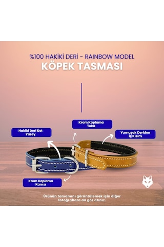 Rainbow Xs Hakiki Deri Küçük Köpek Tasması Xs Beden, Küçük Ve Mini Köpekler İçin Tasma, Yumuşak İç Deri, Krom Kaplamalı Toka & D-halka, 7 Farklı Ren Kırmızı
