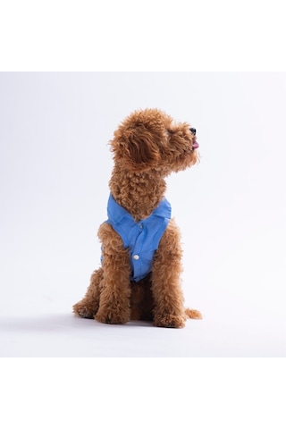 Cozie Bear Denim Ayıcık Desenli Kot Kedi Köpek Gömleği-kedi Köpek Kıyafeti-kedi Gömlek-köpek Gömlek