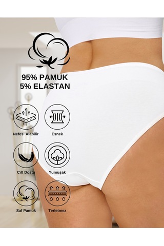 Alya Underwear Kadın Külot Basic Slip Renkli Pamuklu Iç Çamaşırı 10'lu Paket Multicolor-x32 Multicolor - X19