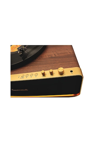 Crownwell Pikap Vegas Plus Gold Bluetoothlu Pikap Plakçalar