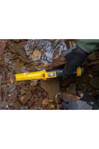 Nokta Accupoint / Ayrımlı Pointer Dedektörü