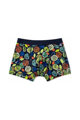 Cazador Erkek Boxer Desenli Pamuklu Ve Likralı 93030 Renkli