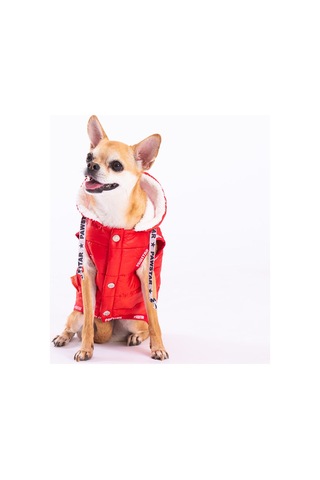 Pawstar Kırmızı Railway Anorak Yelek Köpek Yeleği