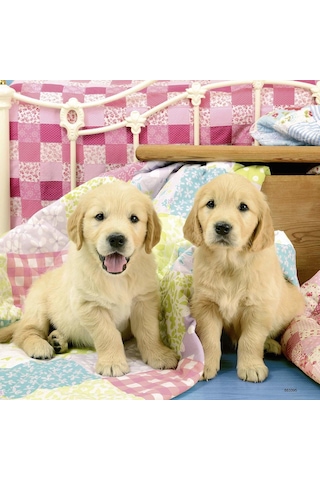 Ravensburger 3x49 Parça Puzzle Puppies 080656
