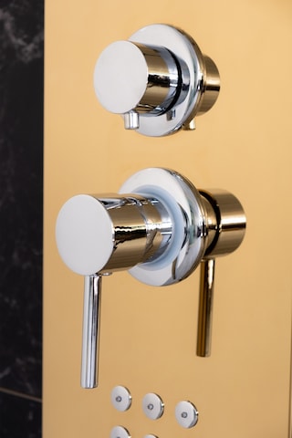Decordem Banora Infinity Lux Duş Paneli, 5 Fonksiyonlu, Altın