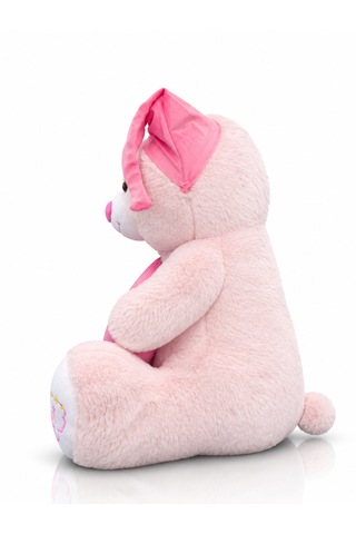 Ayıcık Şapkalı Ve Yastıklı Seri Peluş Ayıcık 60cm - Hediyelik Peluş Oyuncak 046 - Pembe