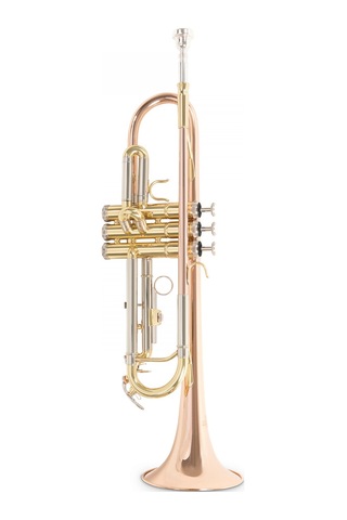Roy Benson Tr-202g Bb Trompet Gold Brass Altın Pirinç Kalak S