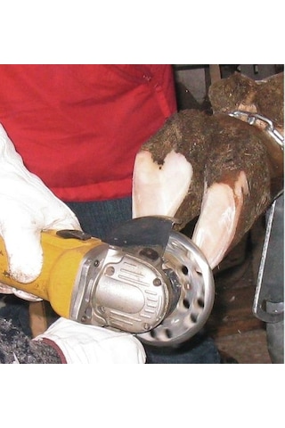 Kerbl Büyükbaş Tırnak Kesme Diski. 3 Bıçaklı