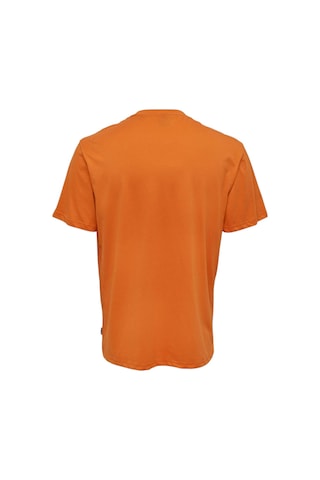 Only O Yaka Baskılı Turuncu Erkek T-shirt 22025271 Koı