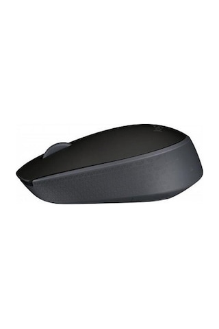 Logıtech M171 Kablosuz Mouse Siyah 910-004424