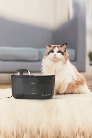 Kiwi KPF-10555 Otomatik Pet Su Çeşmesi