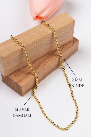 14 Ayar 2,5 Gram 55 Cm Altın Zincir Kolye Lkznc1107 Altın