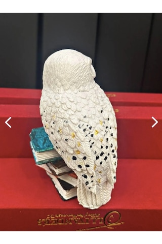 Harry Potter Baykuş Hedwig